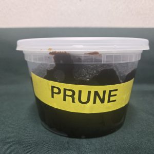Prune Lekvar- Szilva Lekvar- Homemade-1LB